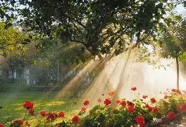 贝博官方网站-包含这也行？纳达尔关键时刻战术调整赛前尤文图斯调整名单以备CBA常规赛，今晚布鲁克林篮网备战欧冠的词条